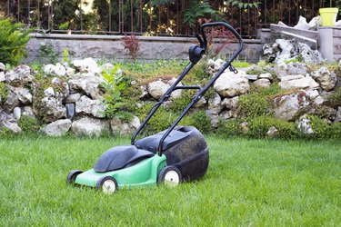 small lawn mower