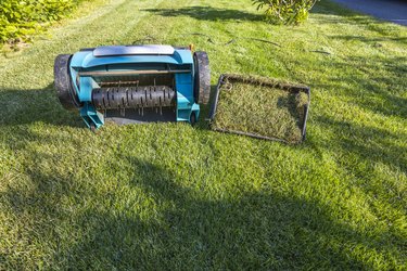 View of a summer lawn with an electric aerator with a basket of mown grass. Gardening machines concept. Sweden.