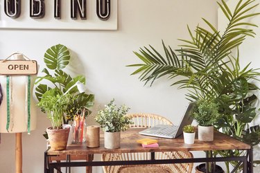 Home office space with plants