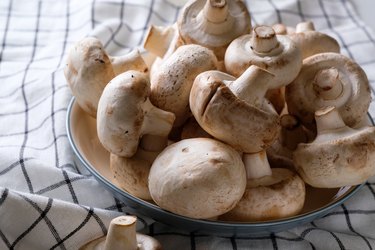 A bunch of whole raw fresh mushrooms in a plate, on a white table or background. Mushrooms are like vegetable protein. The concept of vegetarian and vegan food and diet. Veganism and vegetarianism. Cooking at home or in a restaurant.