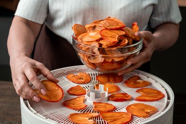 Spreading fruit slices on layer of dehydrator