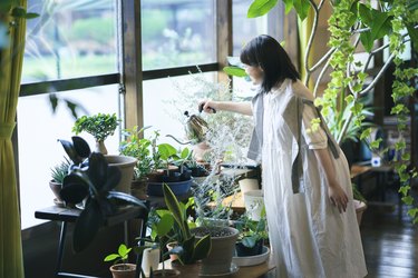 A young woman watering plants