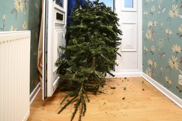 Christmas tree being pulled out open door