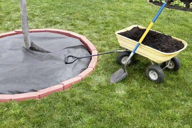 Mulch In Dumping Cart