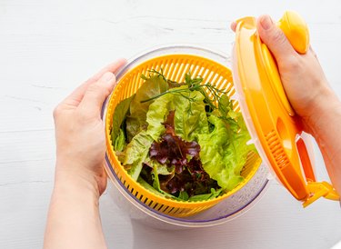 Top view of woman hands holding and drying salad in spinner tool bowl, healthy leafy greens inside. Comfortable way for washing and drying salad leaves.