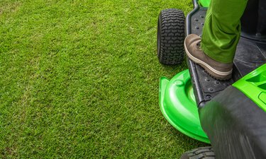 Professional Grass Mowing Backdrop with Copy Space