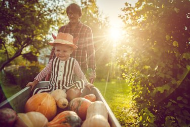 Cute boy and his father with pumpkins in autumn