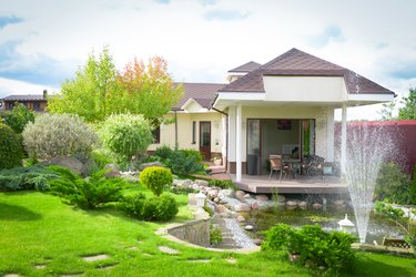 garden and pond