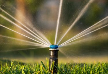 Close-up of automatic irrigation sprinkler watering the lawn at sunset.