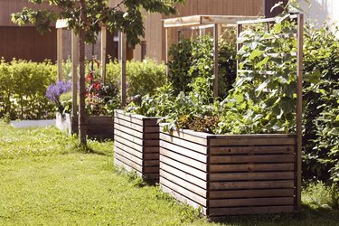 Raised Bed for Growing Fresh Vegetables