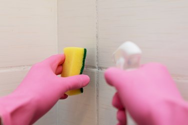 cleaning and removing mold from grout