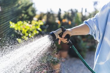 Woman watering with garden hose at front yard