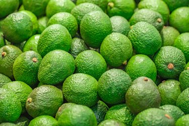 Green avocados in bulk