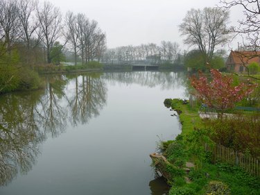 Beautiful scene Water reflect Lakeside in the green park of Brugge Belgium
