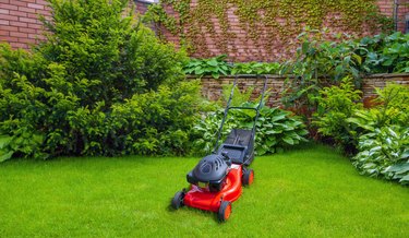 Lawn mover on green grass