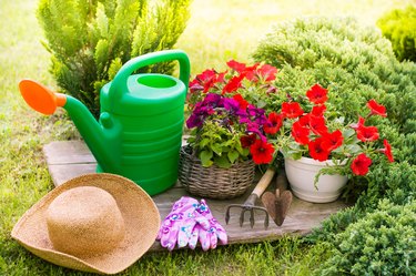 Gardening tools and straw hat on the grass in the garden