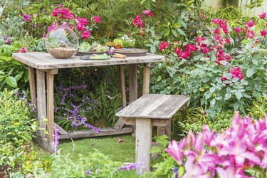 Table in backyard flower garden