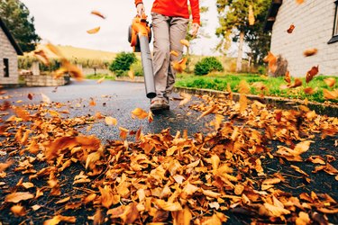 Leaf blower clearing driveway