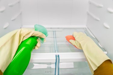 woman cleaning the refrigerator