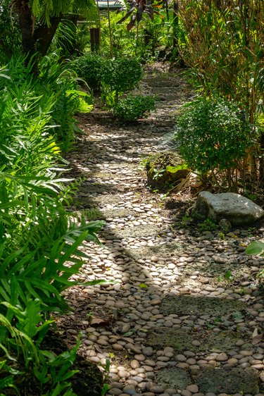 Tranquil Garden Path with Green Plants and Rock Walkway