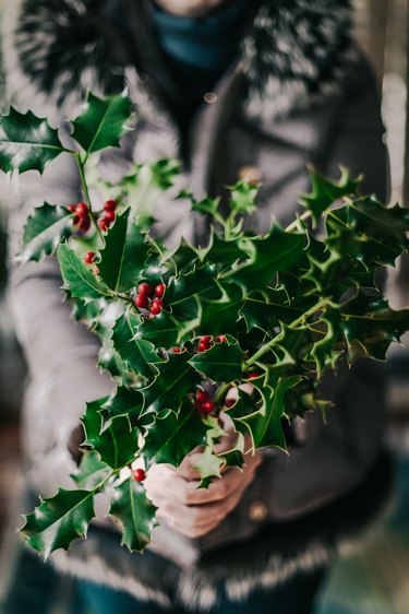 Woman holding holly branches