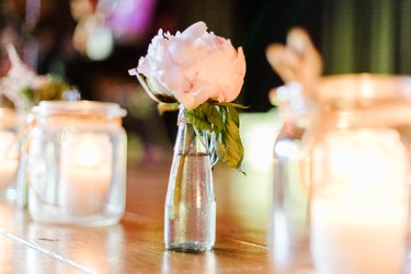 Pink flowers in a small vase