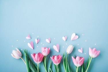 Pink tulips and paper hearts on blue background