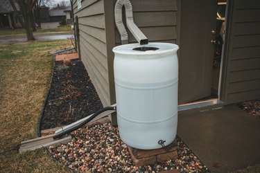 Rain Barrel