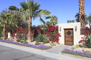 Spectacular Residential Desert Landscaping