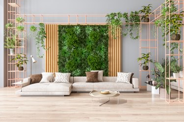 Green Living Room With Vertical Garden, House Plants, Beige Color Sofa And Parquet Floor