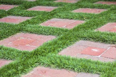 Bricks in Grass Close-up