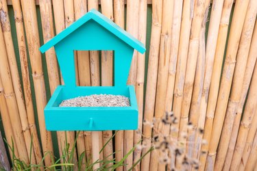 Bird feeder in a garden