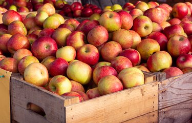 Honey-crisp apples at a local outdoor market
