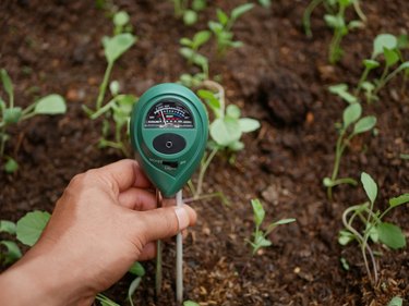 Farmers use soil meter in agriculture.