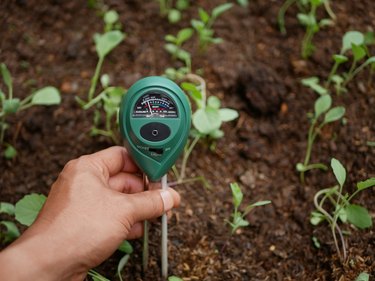 ONEDONE Moisture Meter, Soil Moisture Meter for House Plants Plant Moisture  Meter with Cleaning Cloth Plant Water Meter for Gardening, Farming, Indoor