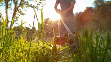 LOW ANGLE: Unrecognizable male gardener mows the lawn with a handheld lawnmower.