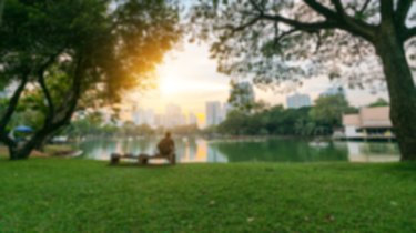 Blurred park, natural background