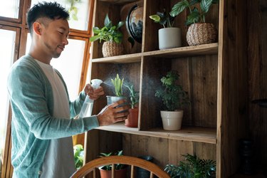 Young Asian man taking care of his plants at balcony at home, watering and potting houseplants with care. Enjoying his time at cozy home. Going green lifestyle