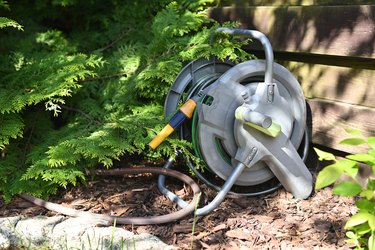 A reel on wheels with a hose for watering plants stands in the garden.
