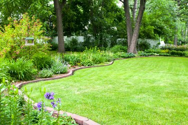 Backyard Flower Bed