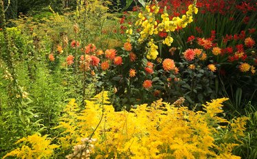 Beautiful flowers, trees and plants and garden landscaping in Sissinghurst Caslte Gardens