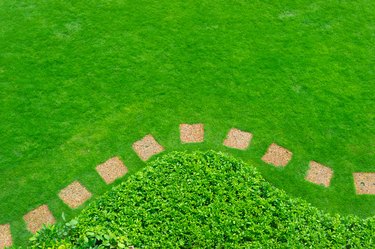 High Angle View Of Stepping Stones And Grassy Field In Garden