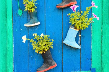 Old Rubber Boots With Blooming Flowers