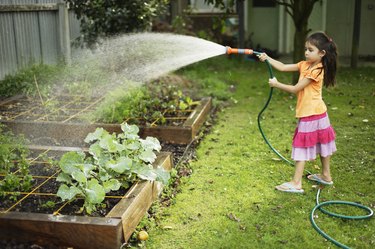 Girl waters vegetable patch