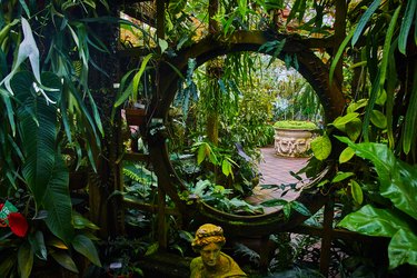 Macro of moon gate in trellis covered in plants with distant view of more plants