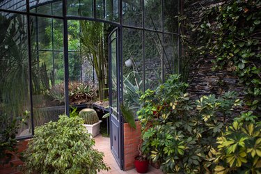 Plants growing in the veranda