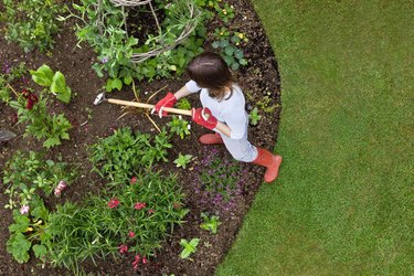Woman weeding a flower bed with a hoe