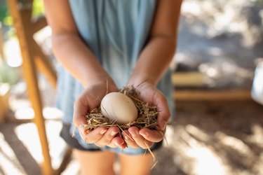 Young Girl Holding Chicken Egg