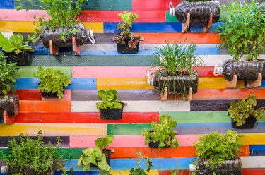 Herb pots hanging on wall