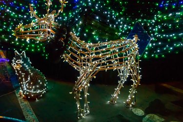 Illuminated Christmas deer at night. Decoration for Christmas and New Years holidays in a city park